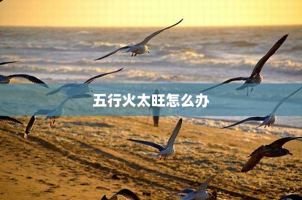 五行火太旺怎么办