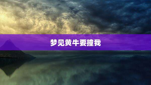 梦见黄牛要撞我