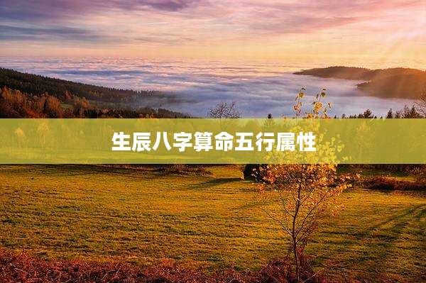 生辰八字算命五行属性