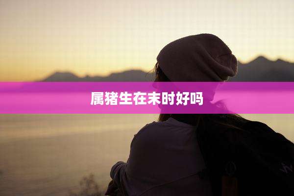 属猪生在末时好吗