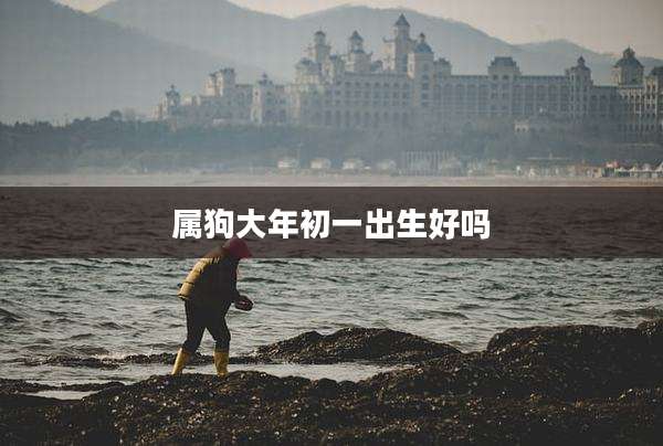 属狗大年初一出生好吗