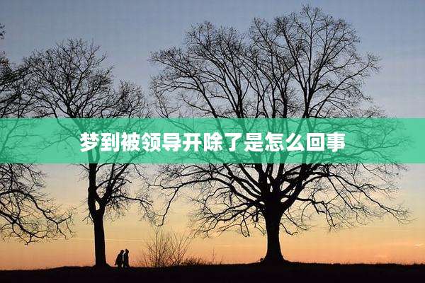 梦到被领导开除了是怎么回事