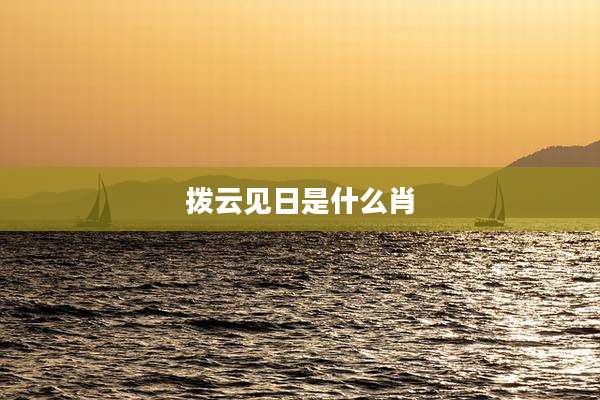 拨云见日是什么肖