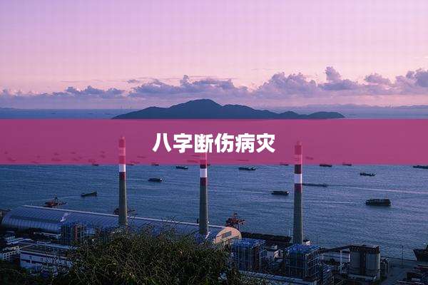 八字断伤病灾
