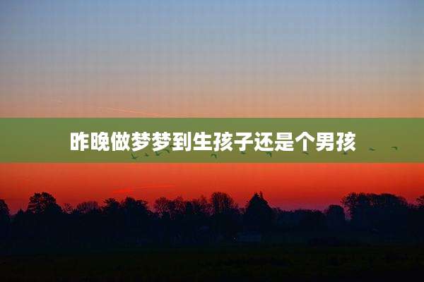昨晚做梦梦到生孩子还是个男孩