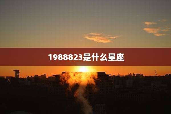 1988823是什么星座