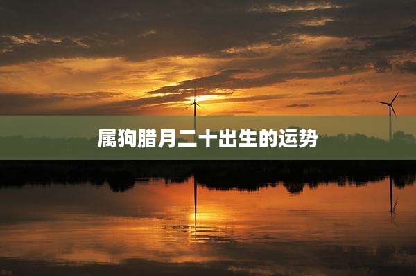 属狗腊月二十出生的运势
