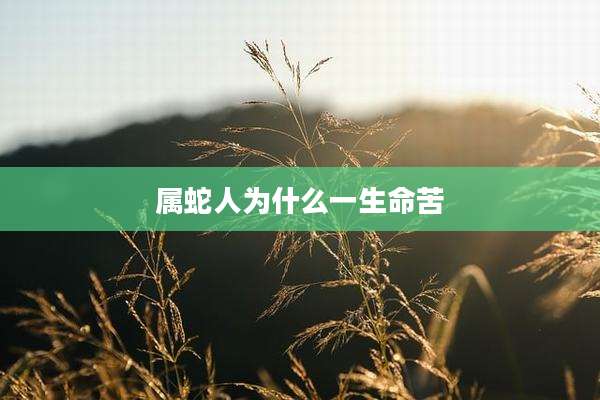 属蛇人为什么一生命苦
