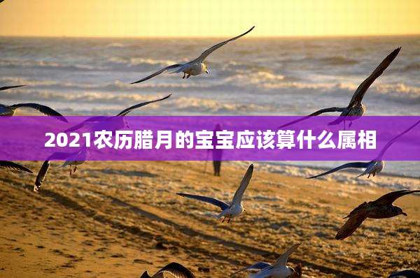 2021农历腊月的宝宝应该算什么属相
