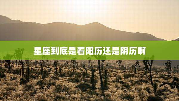星座到底是看阳历还是阴历啊