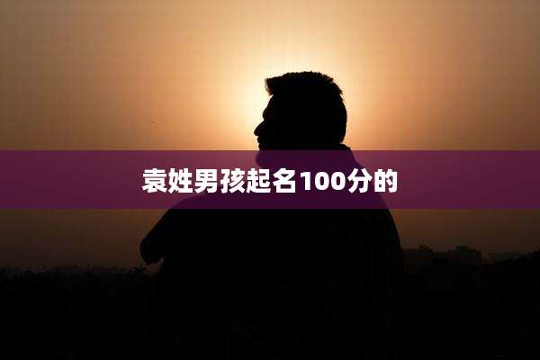 袁姓男孩起名100分的