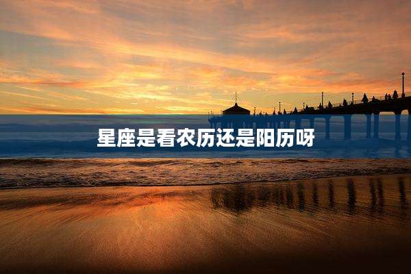 星座是看农历还是阳历呀
