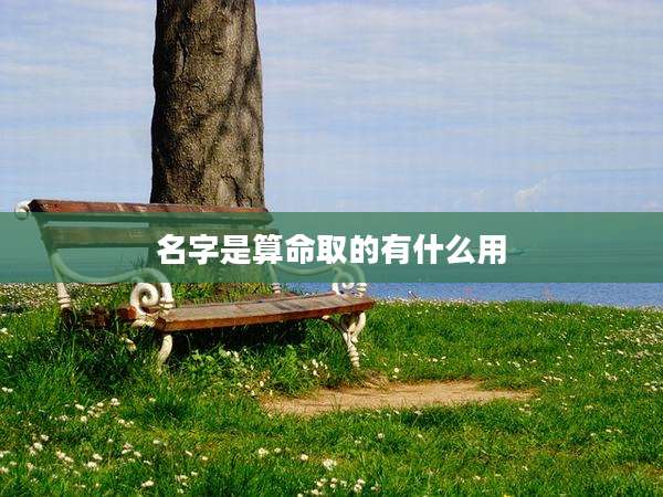 名字是算命取的有什么用