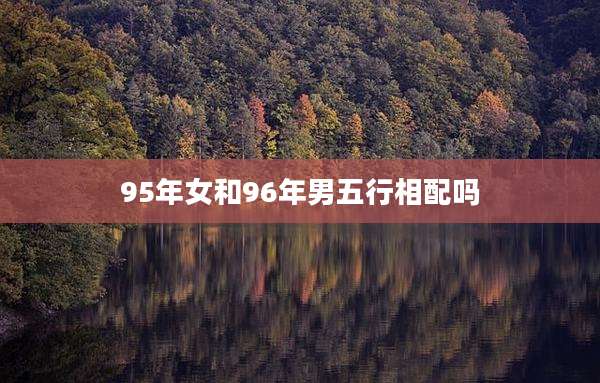 95年女和96年男五行相配吗