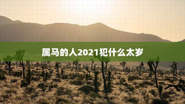 属马的人2021犯什么太岁