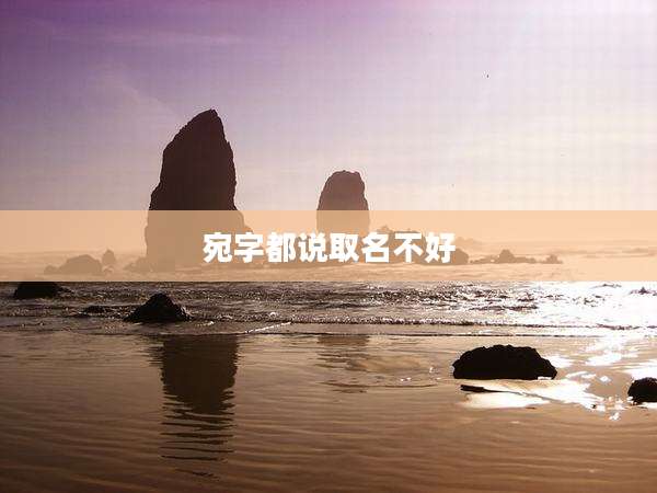 宛字都说取名不好