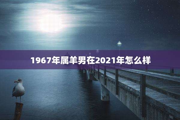 1967年属羊男在2021年怎么样