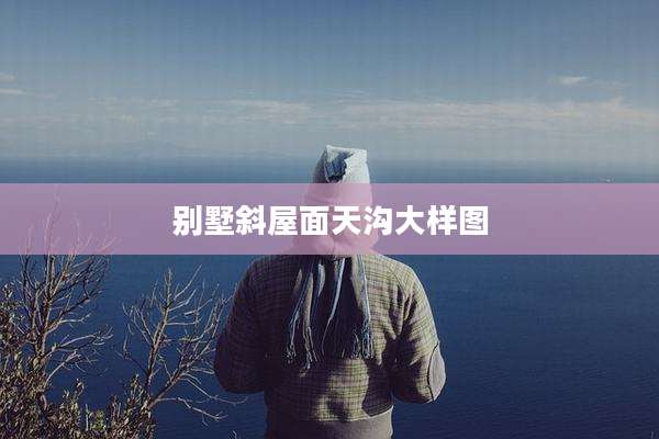 别墅斜屋面天沟大样图