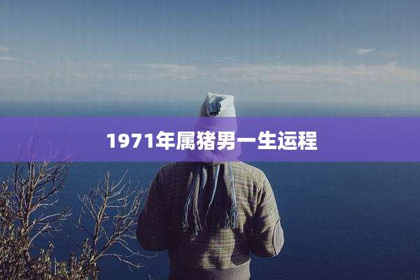 1971年属猪男一生运程