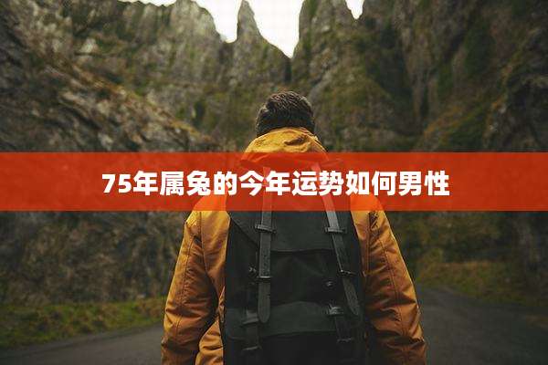 75年属兔的今年运势如何男性