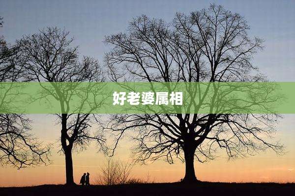 好老婆属相