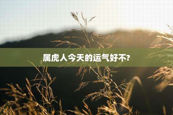 属虎人今天的运气好不?