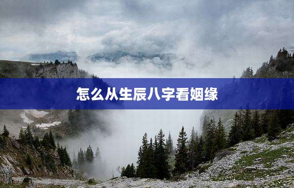 怎么从生辰八字看姻缘