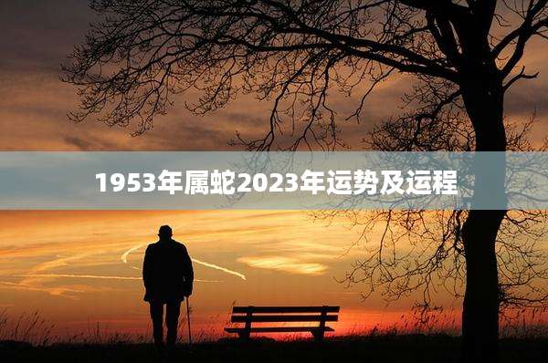 1953年属蛇2023年运势及运程