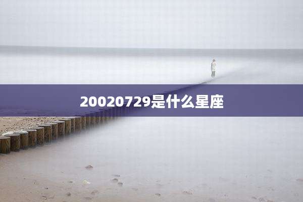 20020729是什么星座