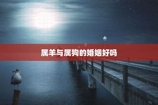属羊与属狗的婚姻好吗