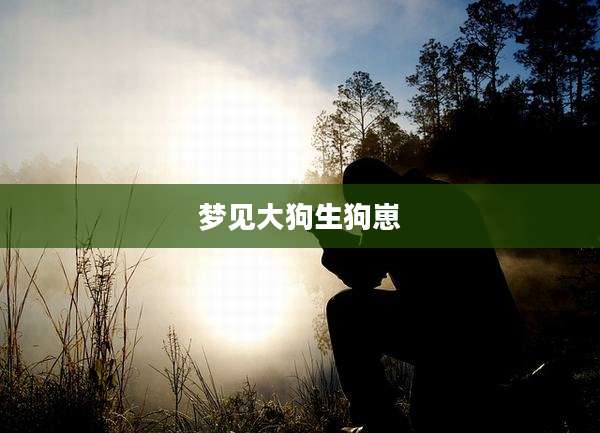 梦见大狗生狗崽