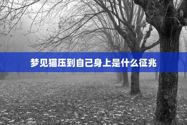 梦见猫压到自己身上是什么征兆
