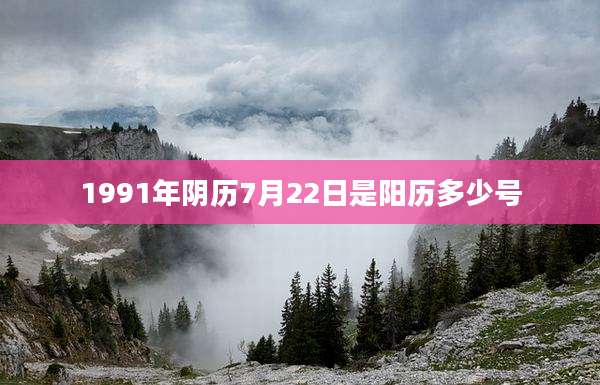 1991年阴历7月22日是阳历多少号