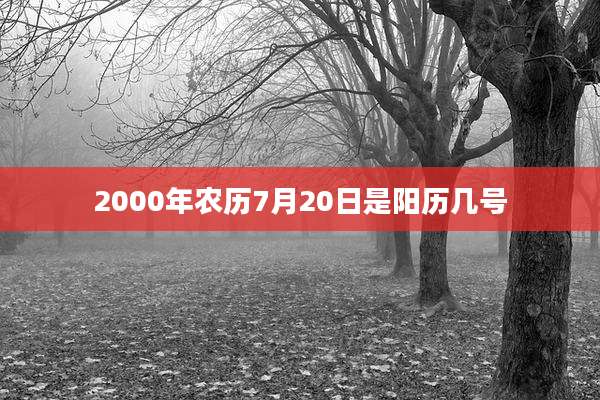 2000年农历7月20日是阳历几号