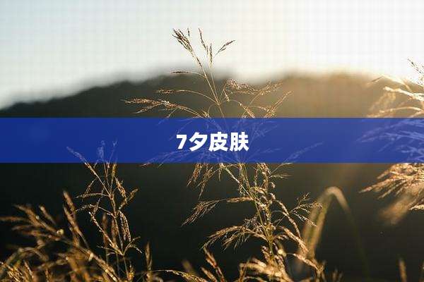 7夕皮肤