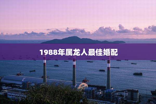 1988年属龙人最佳婚配
