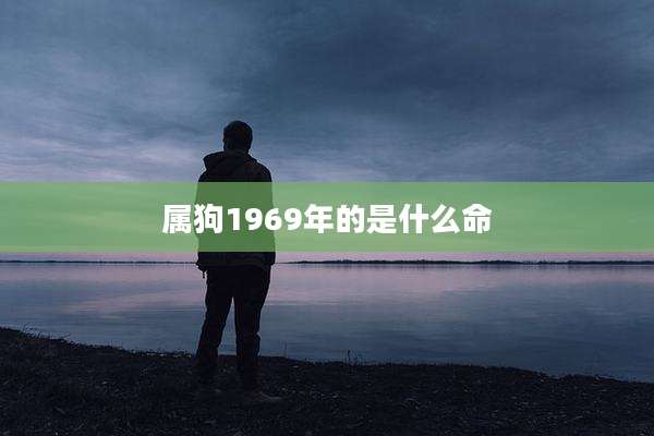 属狗1969年的是什么命