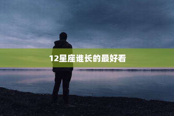12星座谁长的最好看