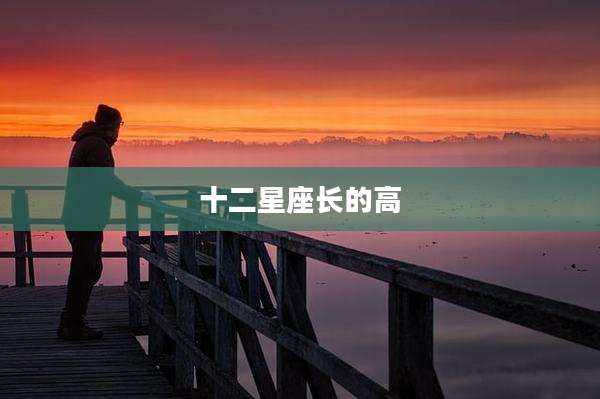 十二星座长的高