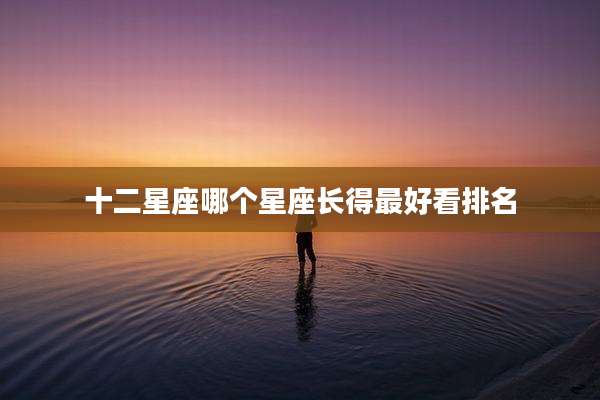 十二星座哪个星座长得最好看排名
