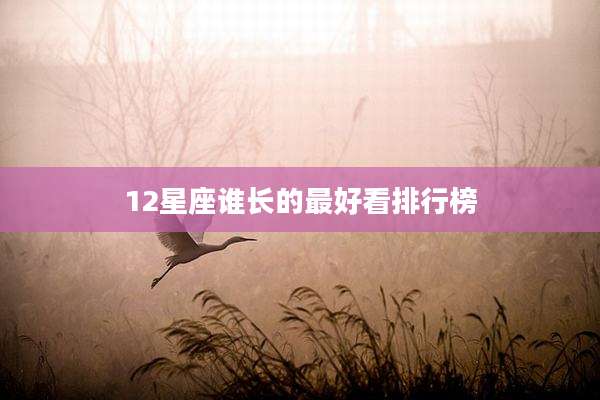 12星座谁长的最好看排行榜
