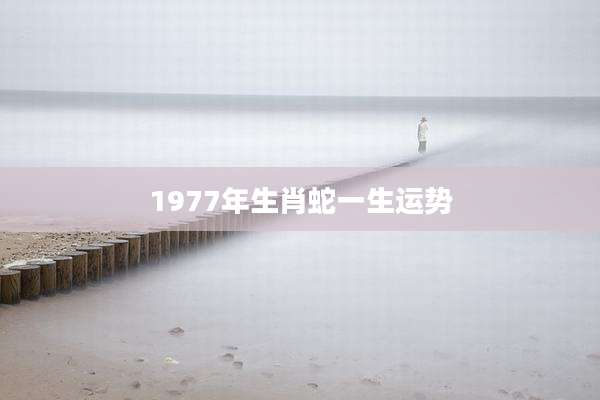 1977年生肖蛇一生运势