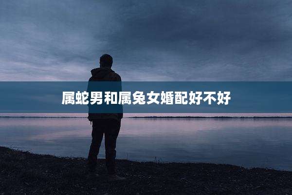 属蛇男和属兔女婚配好不好