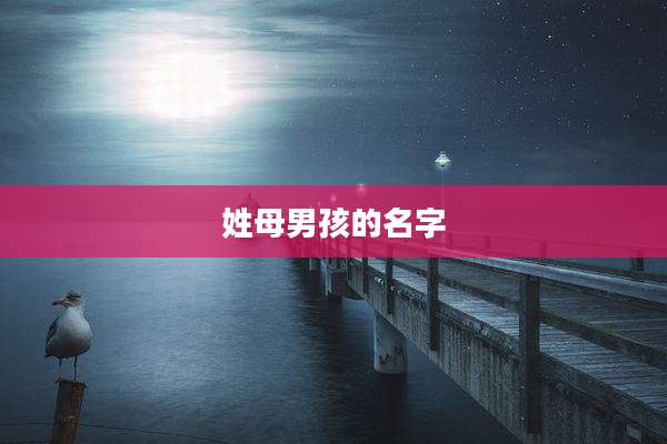 姓母男孩的名字