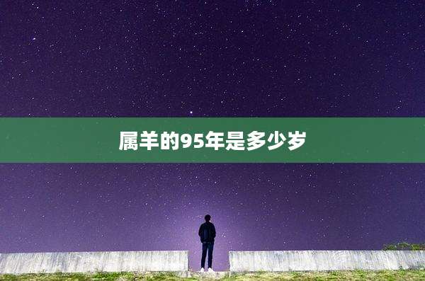属羊的95年是多少岁