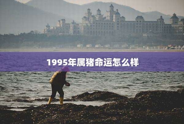 1995年属猪命运怎么样
