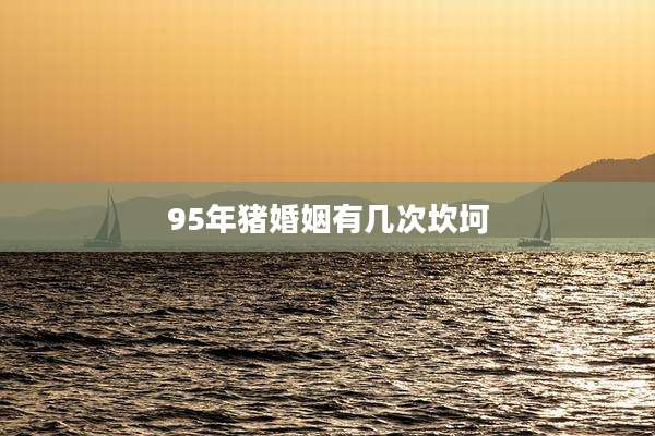 95年猪婚姻有几次坎坷