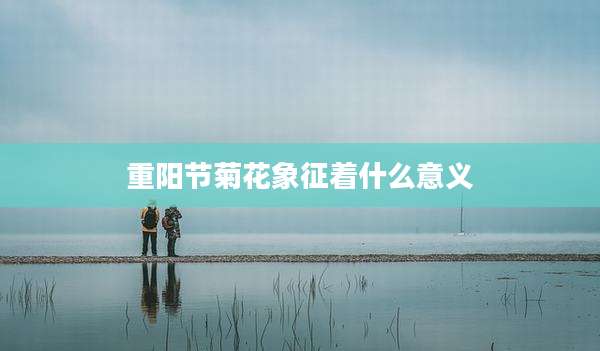 重阳节菊花象征着什么意义