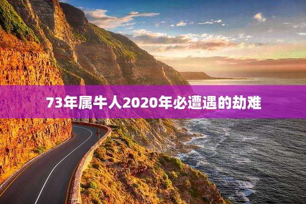 73年属牛人2020年必遭遇的劫难