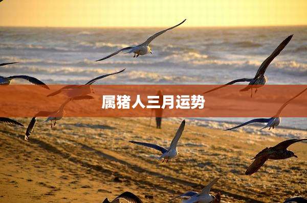 属猪人三月运势
